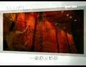 馬未都說(shuō)漆器收藏_唐宋明清的漆器