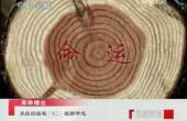 曾仕強-易經(jīng)的奧秘_易經(jīng)與家庭