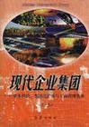 現(xiàn)代企業(yè)集團(tuán)資本經(jīng)營、集團(tuán)化擴(kuò)張與工商管理實務(wù)