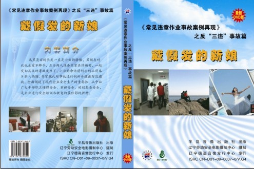 常見違章作業(yè)事故案例再現(xiàn)--反“三違”事故篇--戴假發(fā)的新娘