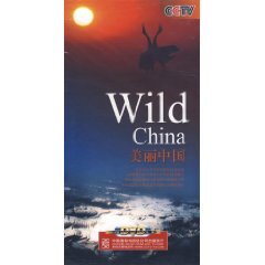 美麗中國